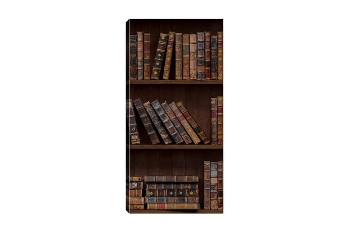 Canvastaulu DKY Reading and Literature Monivärinen - 50x120 cm - Canvas-taulu - Seinäkoristeet