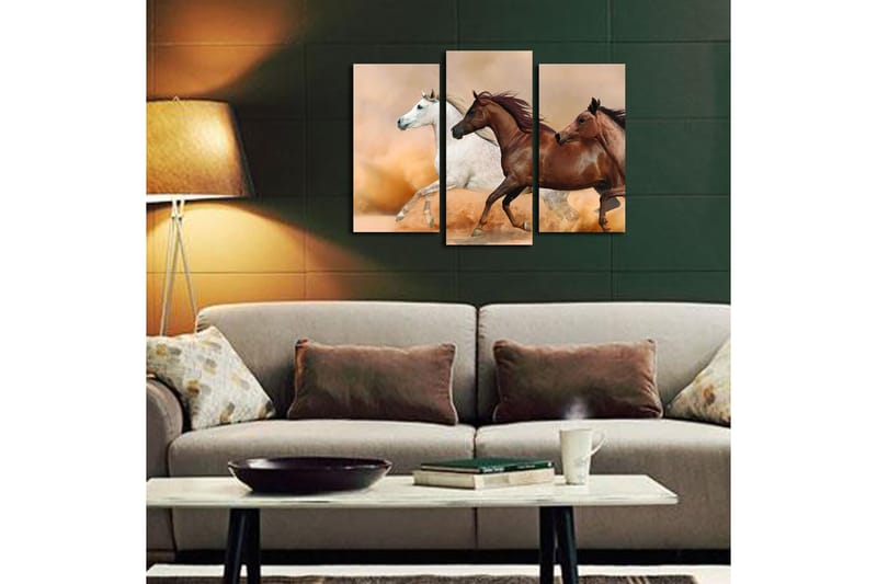 Canvastaulu Floral 3-pak Monivärinen - 20x39 cm - Sisustustuotteet - Taulu & taide - Canvas-taulu