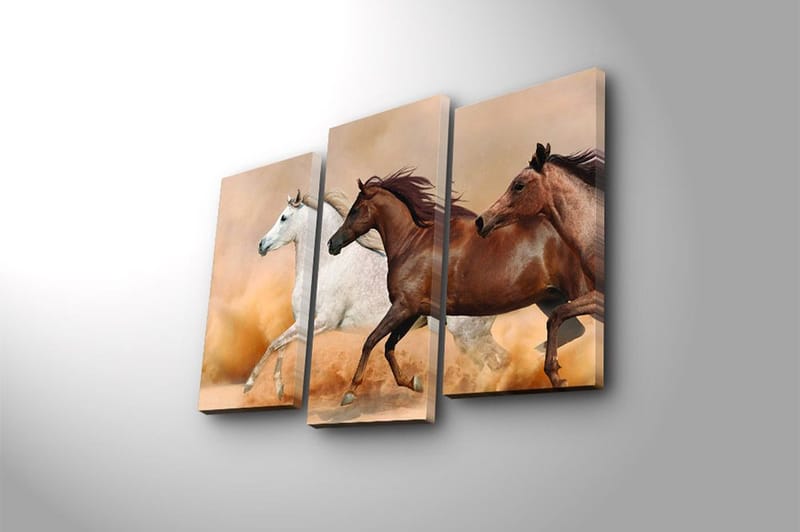 Canvastaulu Floral 3-pak Monivärinen - 20x39 cm - Sisustustuotteet - Taulu & taide - Canvas-taulu