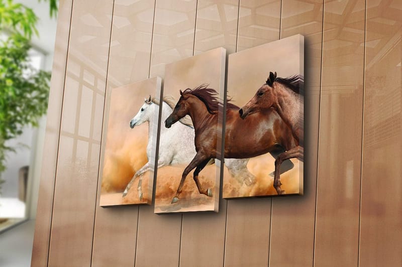 Canvastaulu Floral 3-pak Monivärinen - 20x39 cm - Sisustustuotteet - Taulu & taide - Canvas-taulu