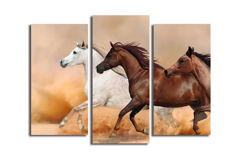 Canvastaulu Floral 3-pak Monivärinen, 20x39 cm