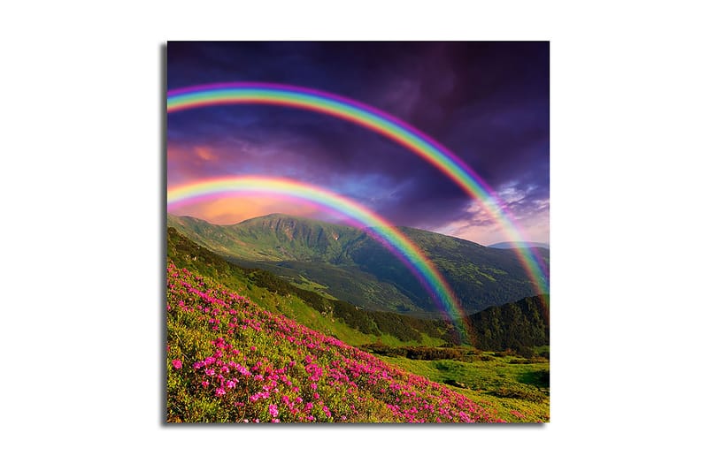 Canvastaulu Floral Monivärinen - 45x45 cm - Sisustustuotteet - Taulu & taide - Canvas-taulu