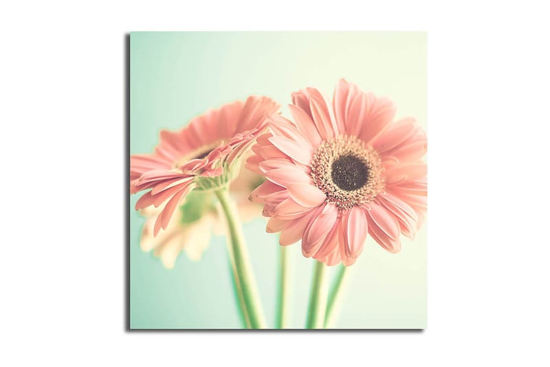 Canvastaulu Floral Monivärinen - 45x45 cm - Sisustustuotteet - Taulu & taide - Canvas-taulu