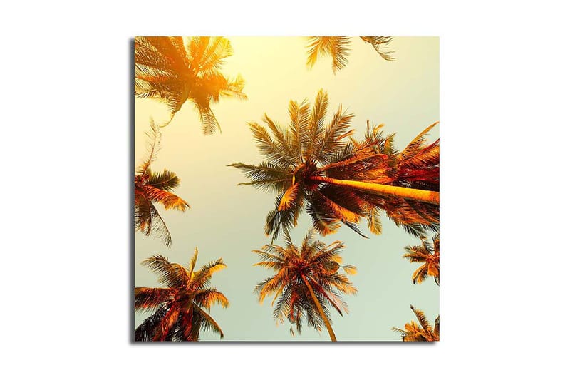 Canvastaulu Floral Monivärinen - 45x45 cm - Sisustustuotteet - Taulu & taide - Canvas-taulu