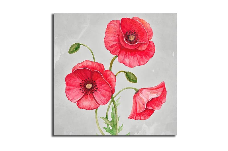 Canvastaulu Floral Monivärinen - 45x45 cm - Sisustustuotteet - Taulu & taide - Canvas-taulu