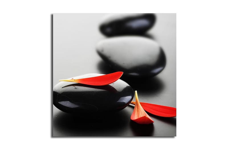 Canvastaulu Floral Monivärinen, 45x45 cm