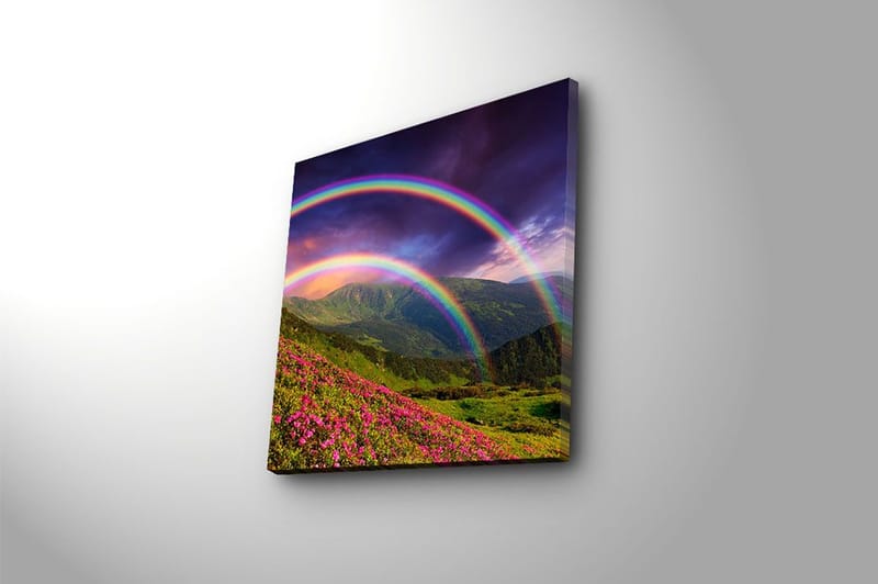 Canvastaulu Floral Monivärinen - 45x45 cm - Sisustustuotteet - Taulu & taide - Canvas-taulu