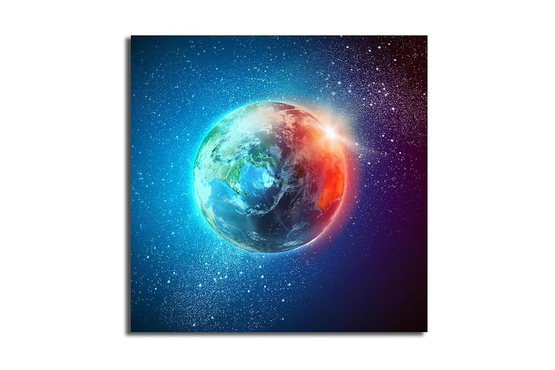 Canvastaulu Floral Monivärinen - 45x45 cm - Sisustustuotteet - Taulu & taide - Canvas-taulu