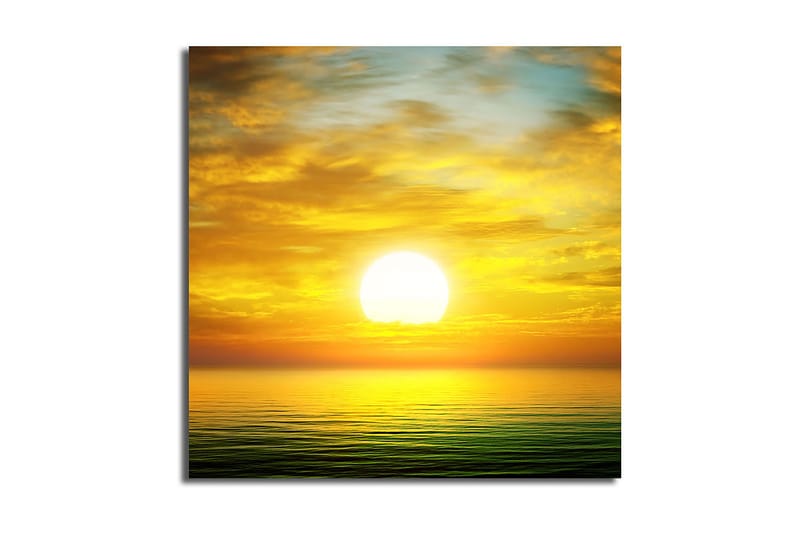 Canvastaulu Floral Monivärinen, 45x45 cm