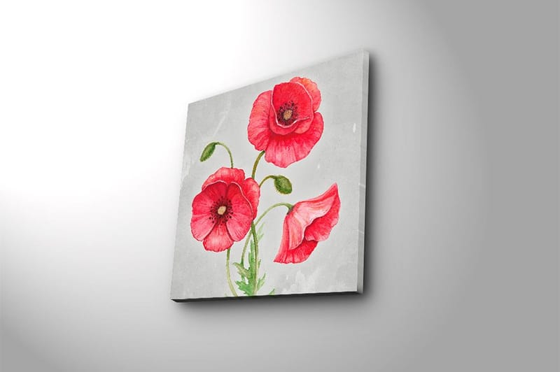 Canvastaulu Floral Monivärinen - 45x45 cm - Sisustustuotteet - Taulu & taide - Canvas-taulu
