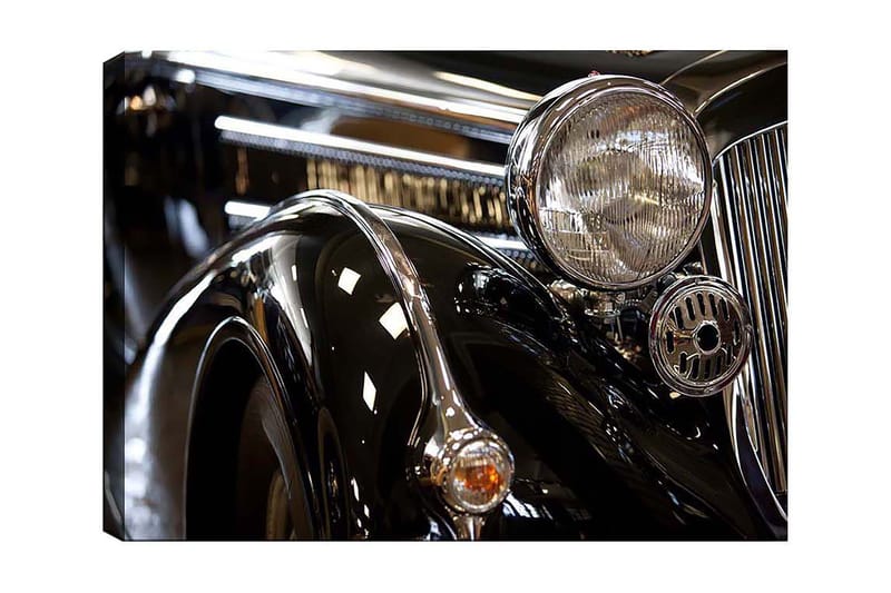 Canvastaulu Floral Monivärinen, 50x70 cm