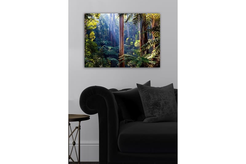 Canvastaulu - Hiljainen metsä korkeiden eukalyptuspuiden ja rehevän kasvillisuuden kanssa - Vihreä / Ruskea / Keltainen - Sisustustuotteet - Taulu & taide - Canvas-taulu