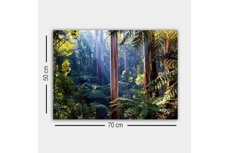 Canvastaulu - Hiljainen metsä korkeiden eukalyptuspuiden ja rehevän kasvillisuuden kanssa - Vihreä / Ruskea / Keltainen - Sisustustuotteet - Taulu & taide - Canvas-taulu