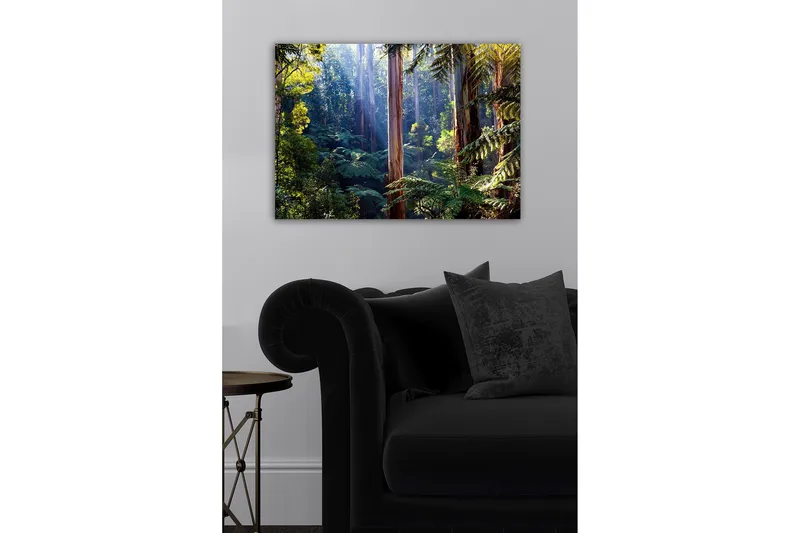 Canvastaulu - Hiljainen metsä korkeiden eukalyptuspuiden ja rehevän kasvillisuuden kanssa - Vihreä / Ruskea / Keltainen - Sisustustuotteet - Taulu & taide - Canvas-taulu