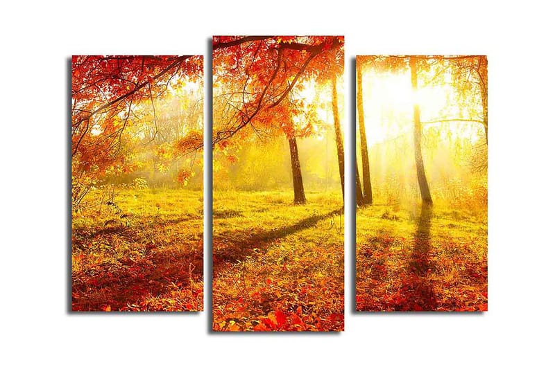 Canvastaulu Kitchen 3-pak Monivärinen - 20x39 cm - Sisustustuotteet - Taulu & taide - Canvas-taulu