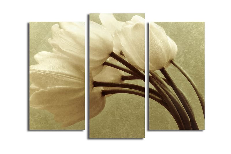 Canvastaulu Kitchen 3-pak Monivärinen, 20x39 cm