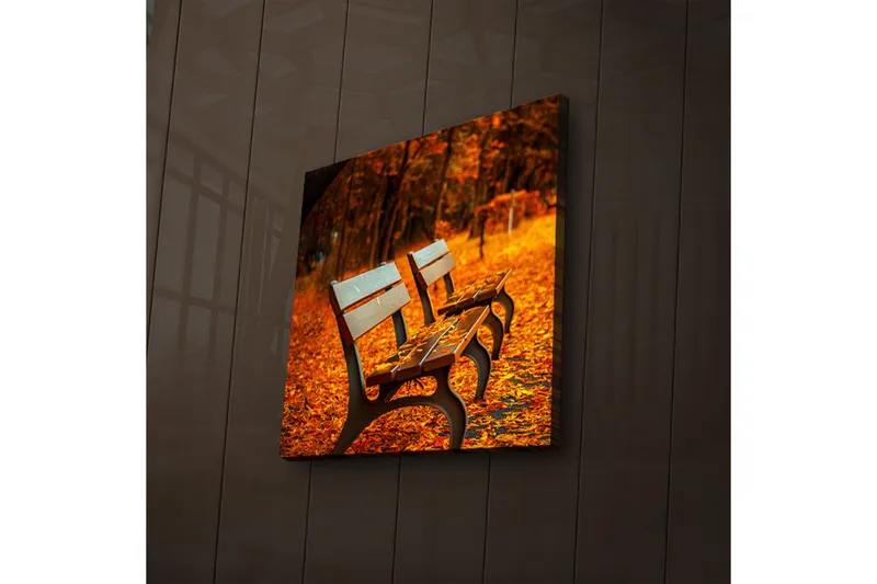 Canvastaulu LED-valaistuksella 28x28 cm - Penkkejä lämpimien syksyn lehtien ympäröimänä, Oranssi / Ruskea