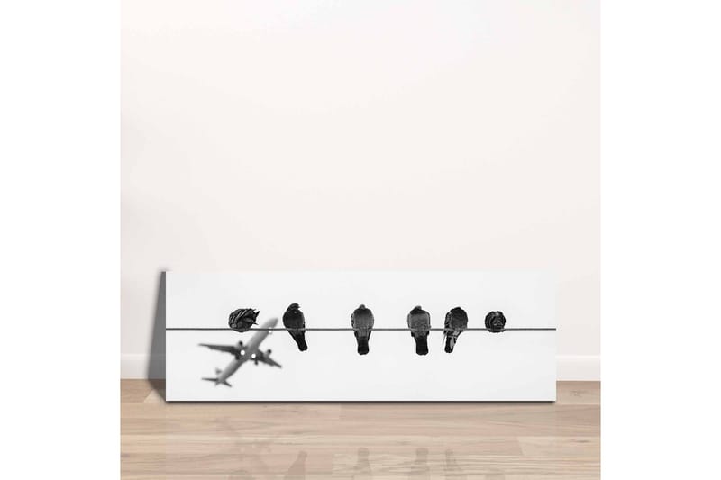 Canvastaulu - Linnut vaijerilla, taustalla lentokone - Musta / Valkoinen - Sisustustuotteet - Taulu & taide - Canvas-taulu