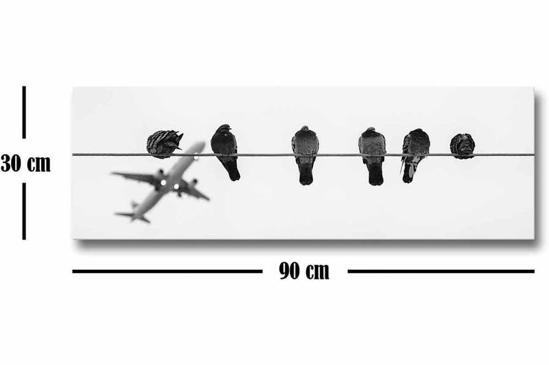 Canvastaulu - Linnut vaijerilla, taustalla lentokone - Musta / Valkoinen - Sisustustuotteet - Taulu & taide - Canvas-taulu