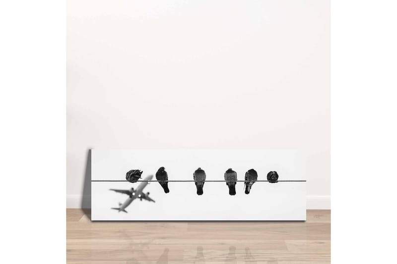 Canvastaulu - Linnut vaijerilla, taustalla lentokone - Musta / Valkoinen - Sisustustuotteet - Taulu & taide - Canvas-taulu