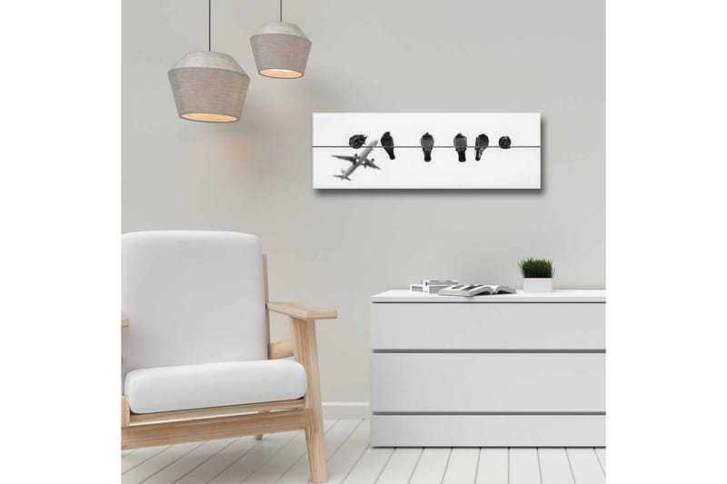 Canvastaulu - Linnut vaijerilla, taustalla lentokone - Musta / Valkoinen - Sisustustuotteet - Taulu & taide - Canvas-taulu