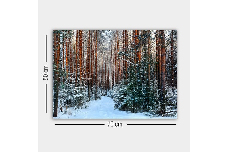 Canvastaulu - Luminen metsä korkeiden, suorien mäntyjen kanssa - Vihreä / Ruskea / Valkoinen - Sisustustuotteet - Taulu & taide - Canvas-taulu