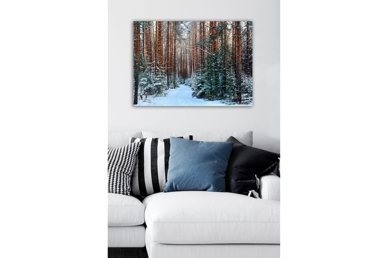 Canvastaulu - Luminen metsä korkeiden, suorien mäntyjen kanssa - Vihreä / Ruskea / Valkoinen - Sisustustuotteet - Taulu & taide - Canvas-taulu