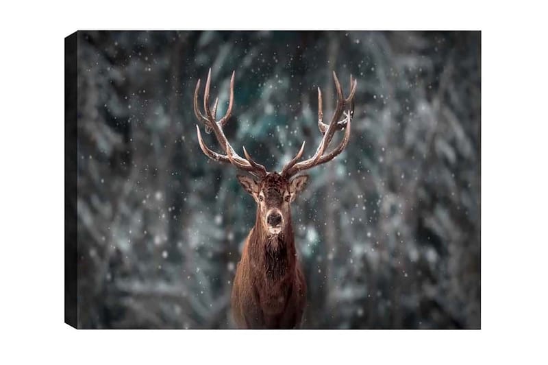 Canvastaulu - Majesteettinen hirvi vaikuttavine sarvineen lumisessa metsäympäristössä, Ruskea / Harmaa / Valkoinen