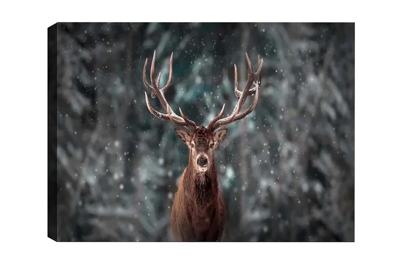Canvastaulu - Majesteettinen hirvi vaikuttavine sarvineen lumisessa metsäympäristössä, Ruskea / Harmaa / Valkoinen