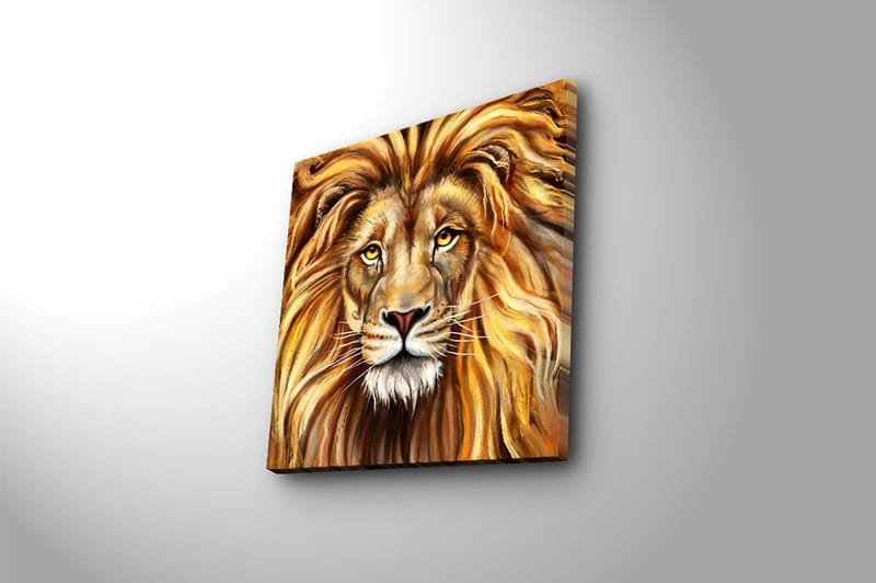 Canvastaulu Monivärinen - 45x45 cm - Sisustustuotteet - Taulu & taide - Canvas-taulu