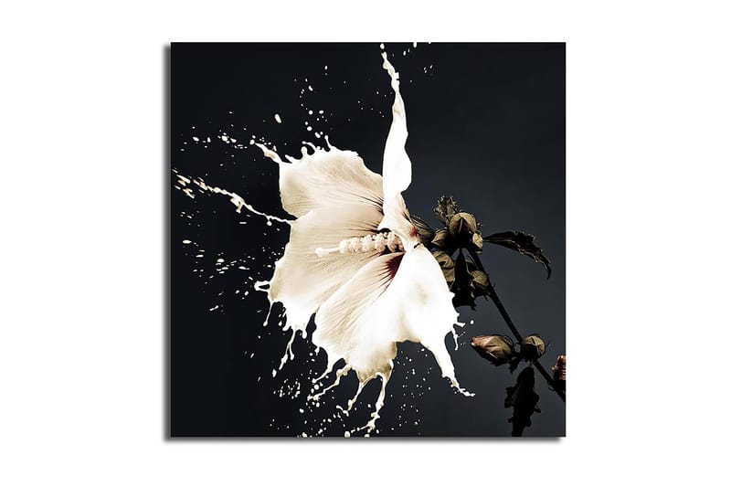 Canvastaulu Monivärinen - 45x45 cm - Sisustustuotteet - Taulu & taide - Canvas-taulu