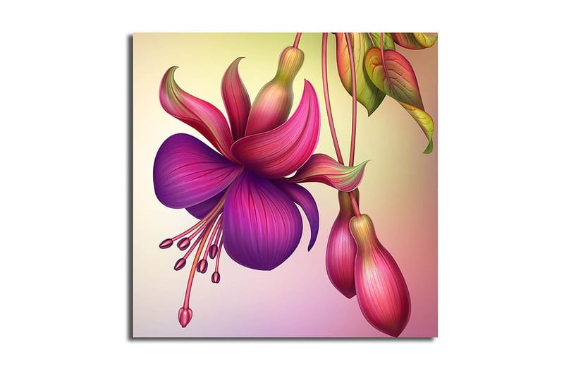 Canvastaulu Monivärinen - 45x45 cm - Sisustustuotteet - Taulu & taide - Canvas-taulu