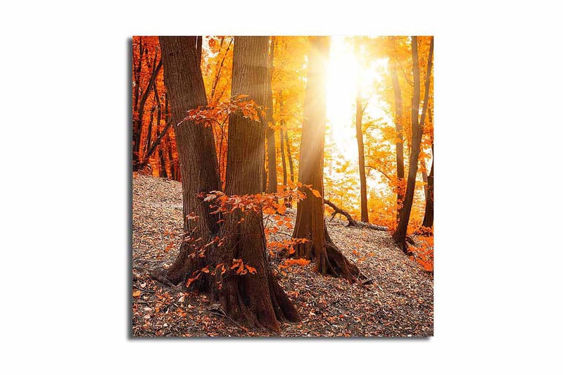 Canvastaulu Monivärinen - 45x45 cm - Sisustustuotteet - Taulu & taide - Canvas-taulu