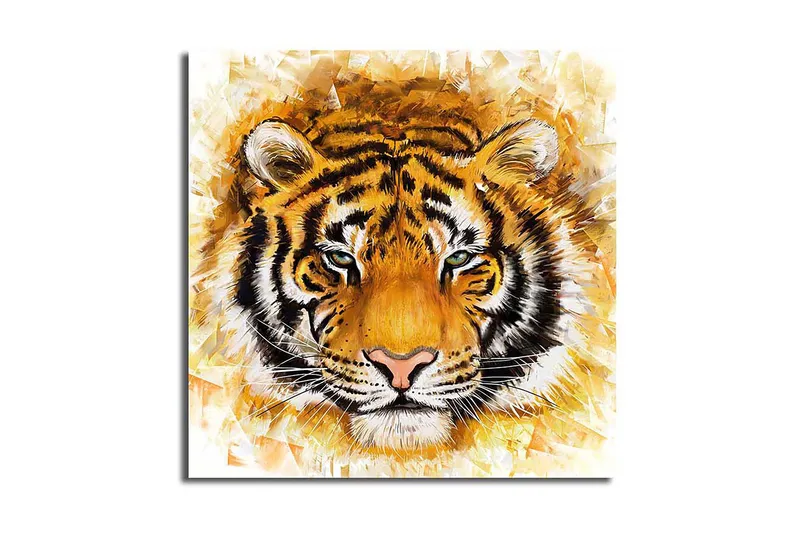 Canvastaulu Monivärinen - 45x45 cm - Sisustustuotteet - Taulu & taide - Canvas-taulu