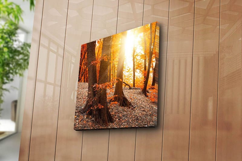 Canvastaulu Monivärinen - 45x45 cm - Sisustustuotteet - Taulu & taide - Canvas-taulu