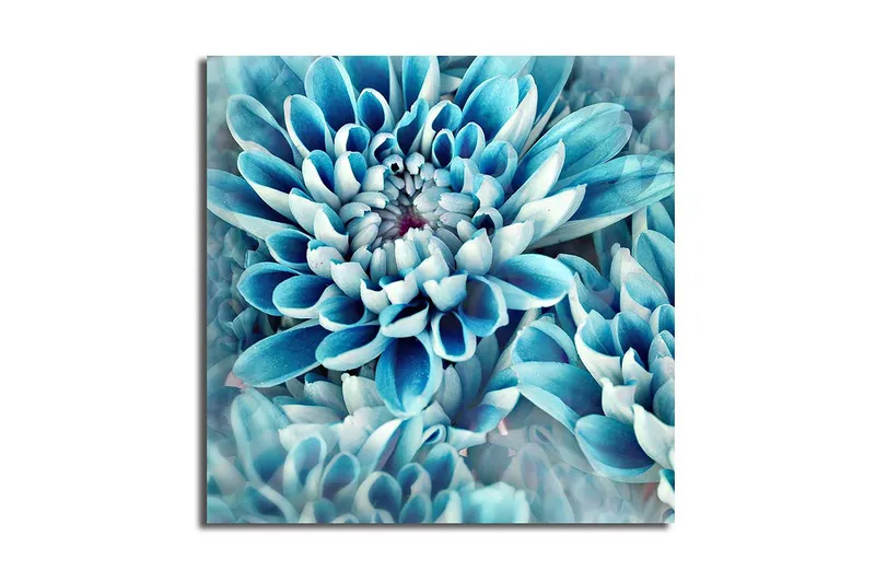 Canvastaulu Monivärinen, 45x45 cm