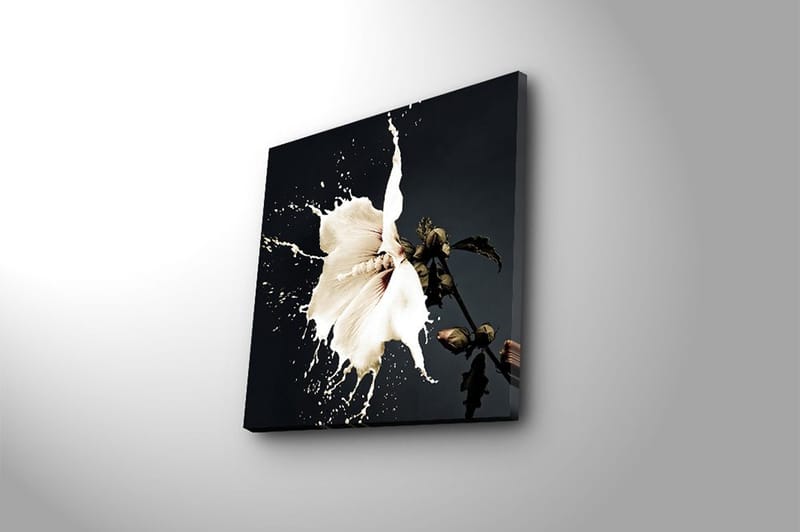 Canvastaulu Monivärinen - 45x45 cm - Sisustustuotteet - Taulu & taide - Canvas-taulu