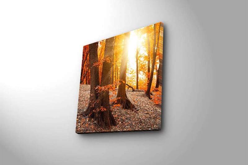 Canvastaulu Monivärinen - 45x45 cm - Sisustustuotteet - Taulu & taide - Canvas-taulu