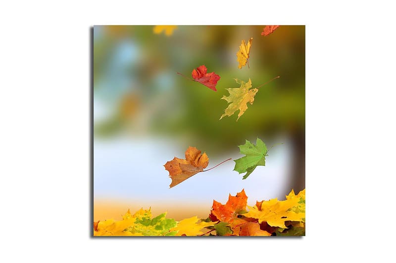 Canvastaulu Monivärinen, 45x45 cm