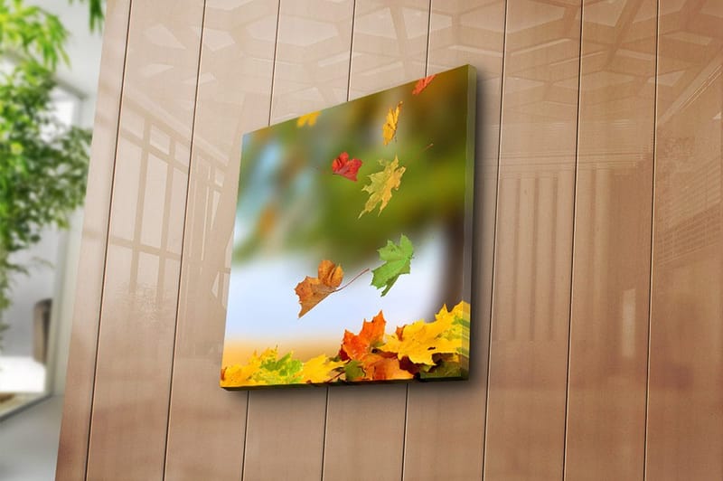 Canvastaulu Monivärinen - 45x45 cm - Sisustustuotteet - Taulu & taide - Canvas-taulu