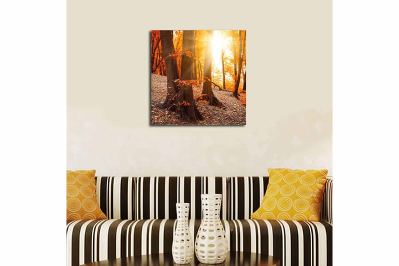 Canvastaulu Monivärinen - 45x45 cm - Sisustustuotteet - Taulu & taide - Canvas-taulu