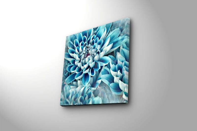 Canvastaulu Monivärinen - 45x45 cm - Sisustustuotteet - Taulu & taide - Canvas-taulu