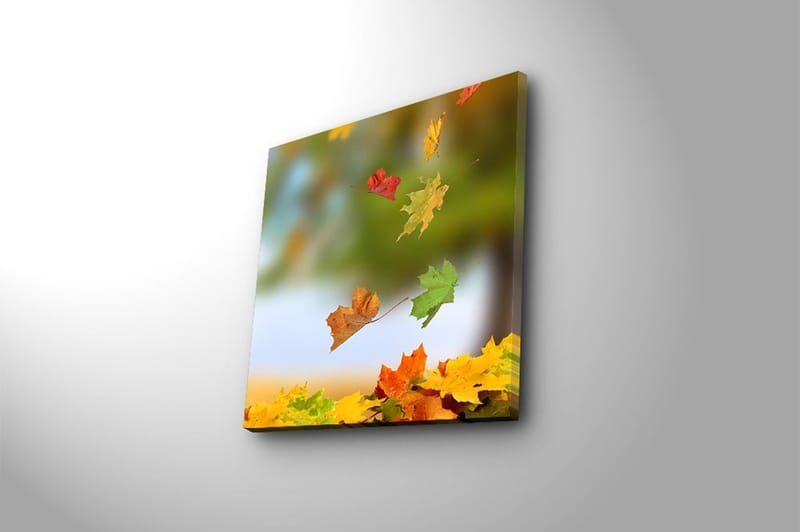 Canvastaulu Monivärinen - 45x45 cm - Sisustustuotteet - Taulu & taide - Canvas-taulu