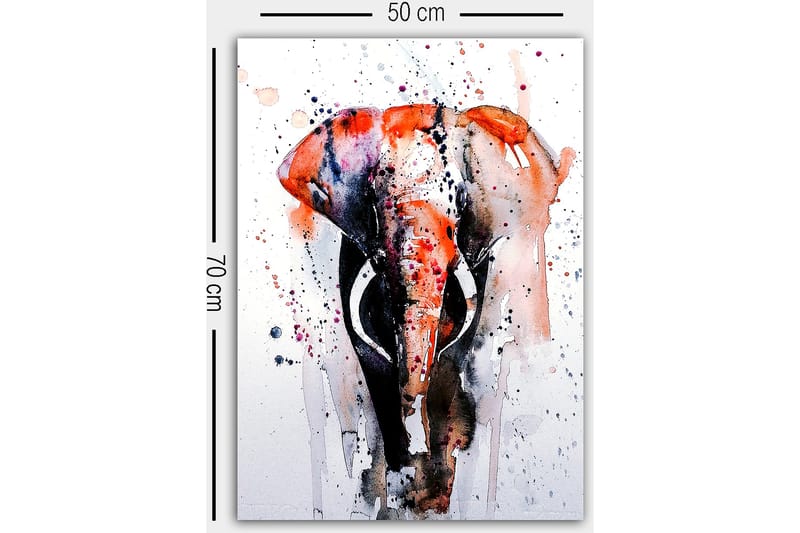 Canvastaulu Monivärinen - 50x70 cm - Sisustustuotteet - Taulu & taide - Canvas-taulu