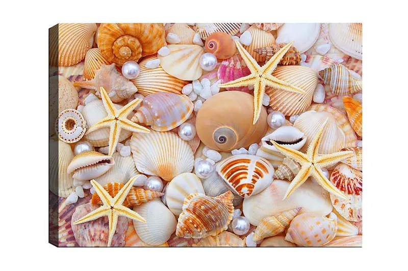 Canvastaulu Monivärinen - 50x70 cm - Sisustustuotteet - Taulu & taide - Canvas-taulu