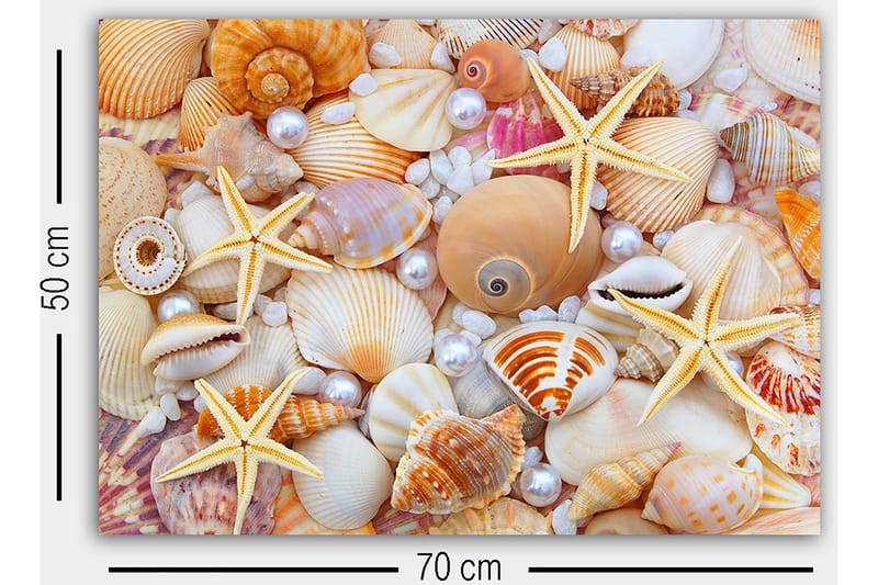 Canvastaulu Monivärinen - 50x70 cm - Sisustustuotteet - Taulu & taide - Canvas-taulu