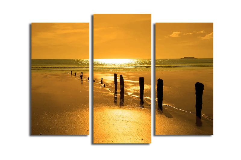 Canvastaulu Music 3-pak Monivärinen, 20x39 cm