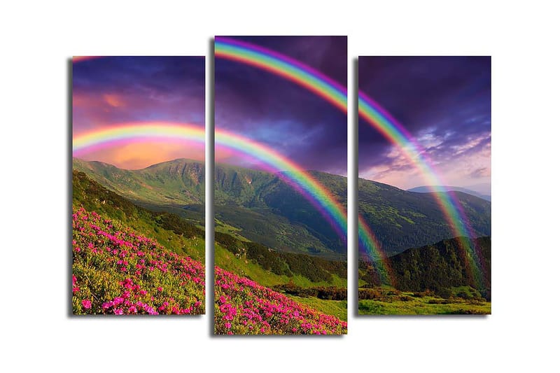 Canvastaulu Nautical 3-pak Monivärinen, 20x39 cm