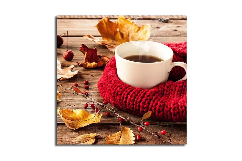 Canvastaulu Nautical Monivärinen, 45x45 cm