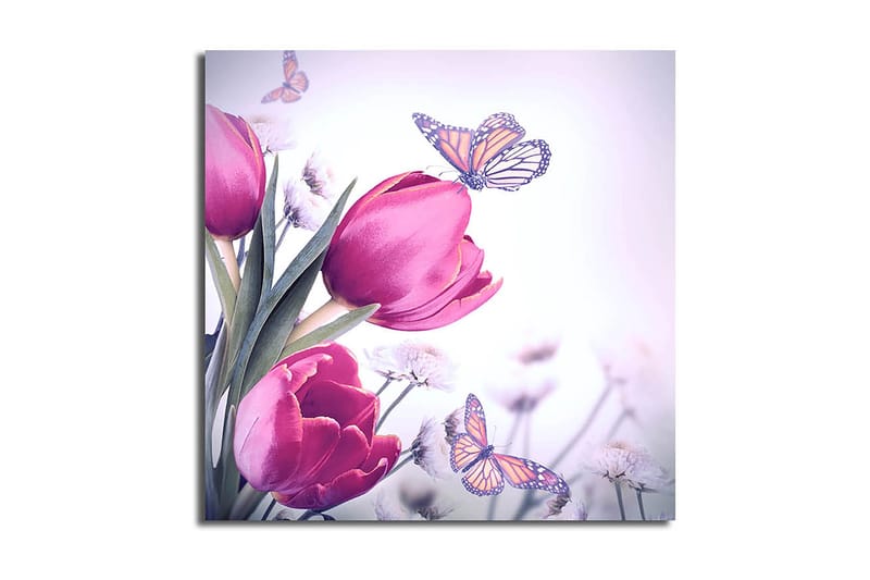 Canvastaulu Nautical Monivärinen, 45x45 cm